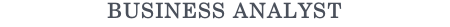BUSINESS ANALYST